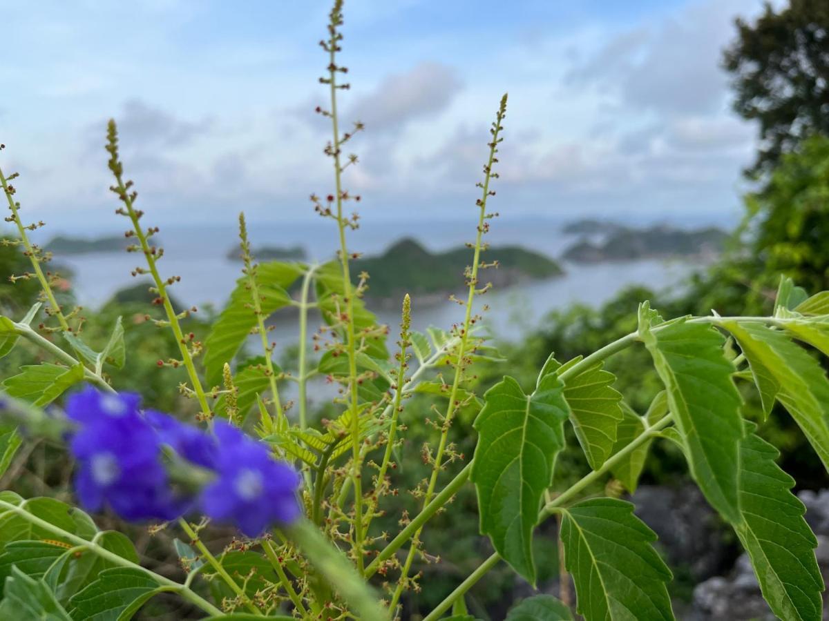 Cat Ba Rosalia Hotel Dong Khe Sau Bagian luar foto