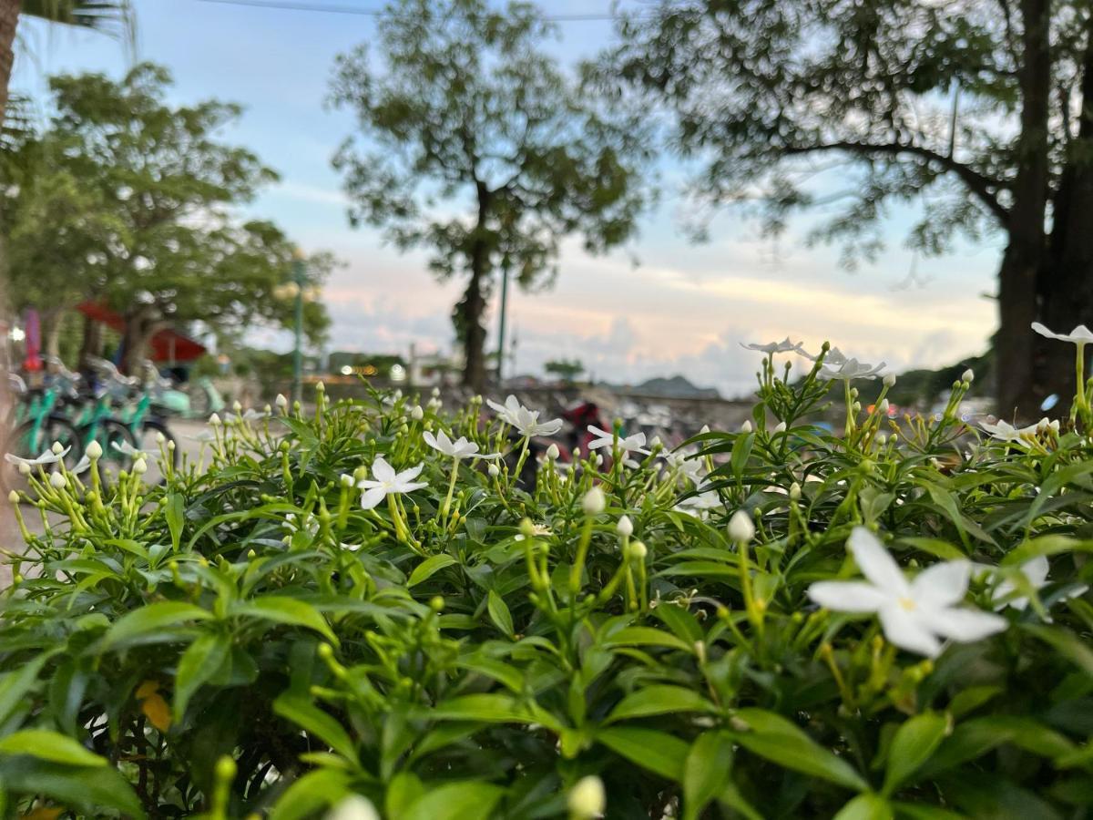Cat Ba Rosalia Hotel Dong Khe Sau Bagian luar foto